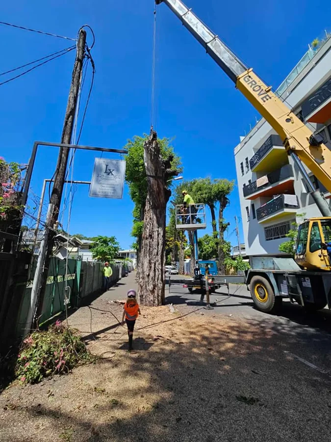 Chantier de démontage installé dans une rue étroite, entre les habitations.
