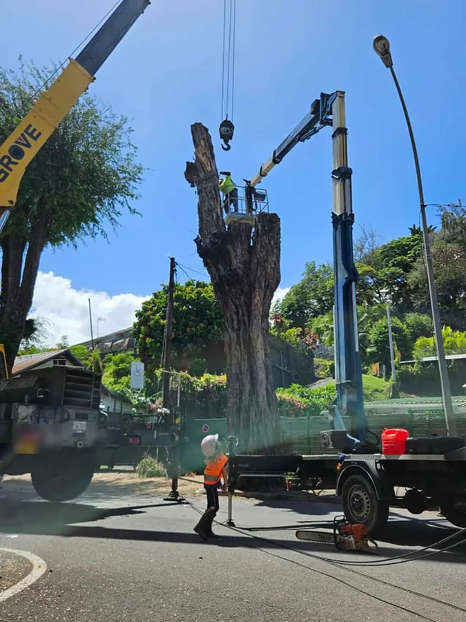 Tronc d'arbre élingué et soulevé au-dessus de la rue lors d'un démontage en ville.
