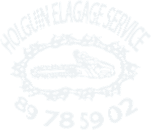 Emblème HOLGUIN ELAGAGE SERVICE : une tronçonneuse dans un anneau de chaîne de tronçonneuse.