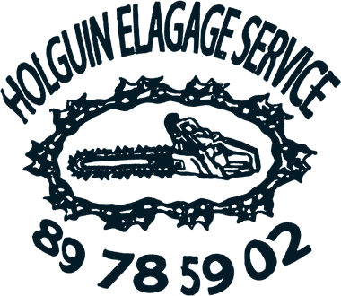 Emblème HOLGUIN ELAGAGE SERVICE : une tronçonneuse dans un anneau de chaîne de tronçonneuse.