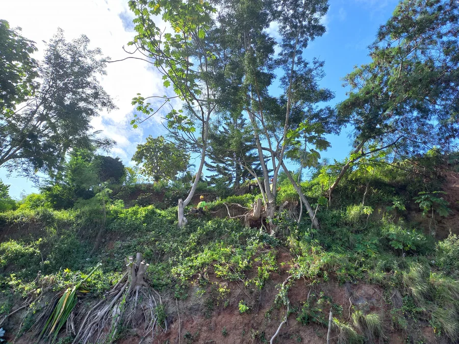 Un talus végétalisé en pente raide, dégagé à la tronçonneuse par deux opérateurs.